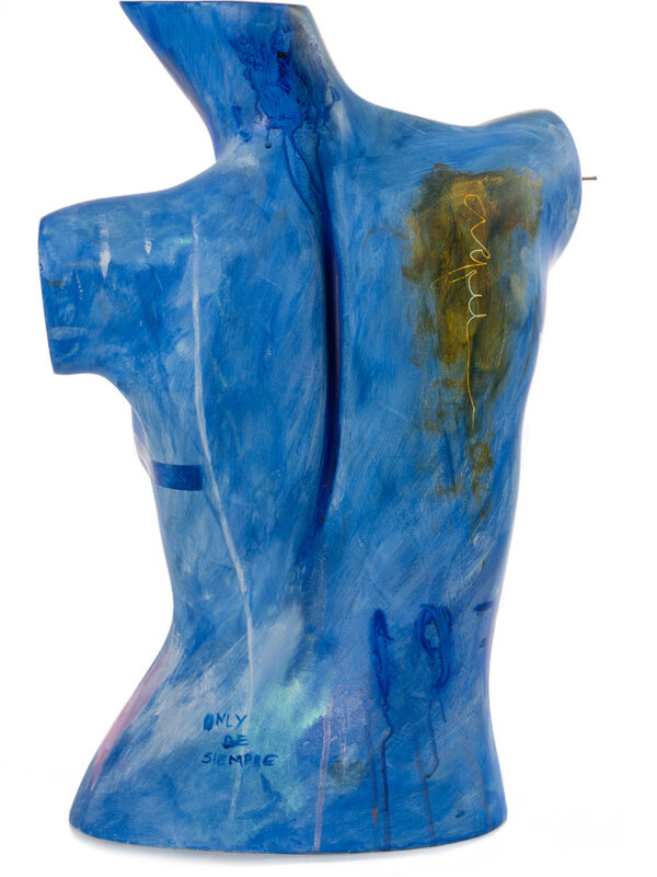 TORSO AZUL